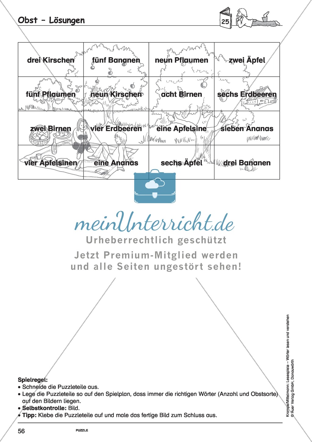 Mehrere Wörter mit Bild: Spielkarten + Lösung Preview 14