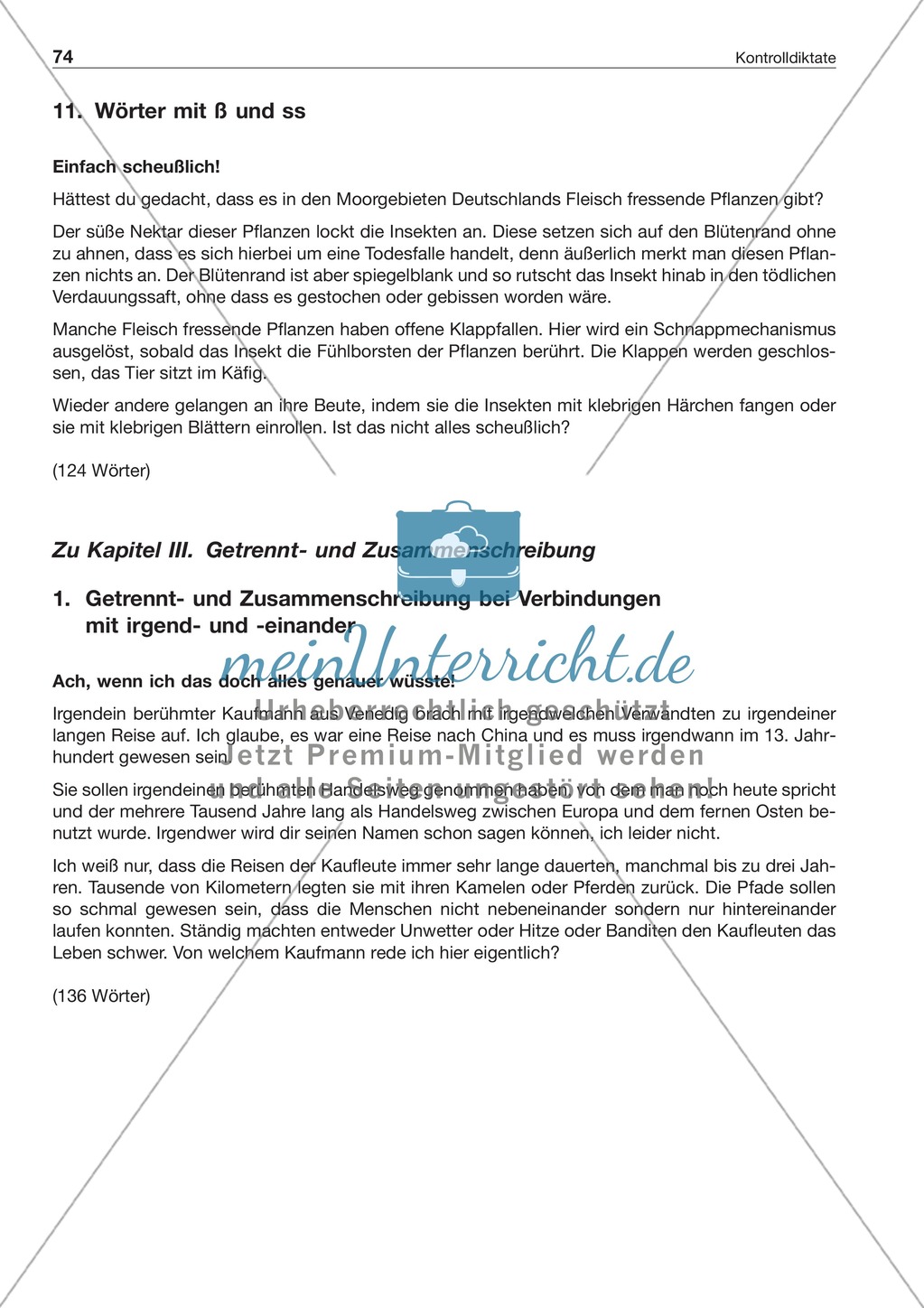 Laut-Buchstaben-Zuordnungen: Kontrolldiktate Preview 6