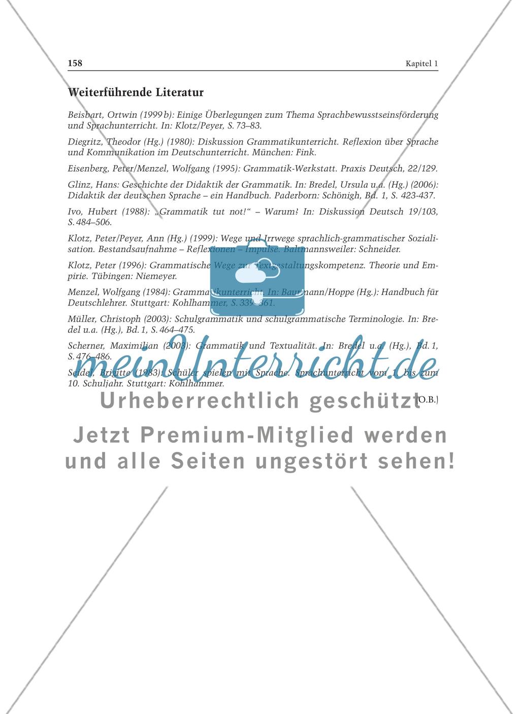 Über Sprache nachdenken - Achtsamkeit und Regelkonstruktion: Informationstext für Lehrer Preview 10