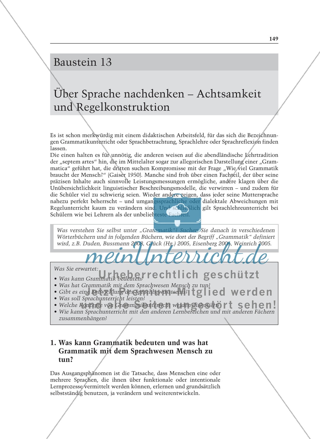 Über Sprache nachdenken - Achtsamkeit und Regelkonstruktion: Informationstext für Lehrer Preview 1