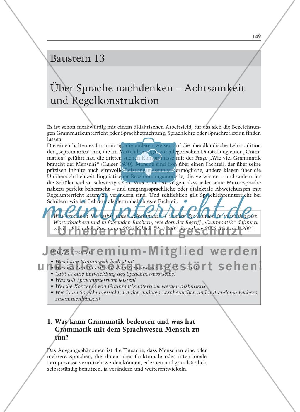 Über Sprache nachdenken - Achtsamkeit und Regelkonstruktion: Informationstext für Lehrer Preview 1
