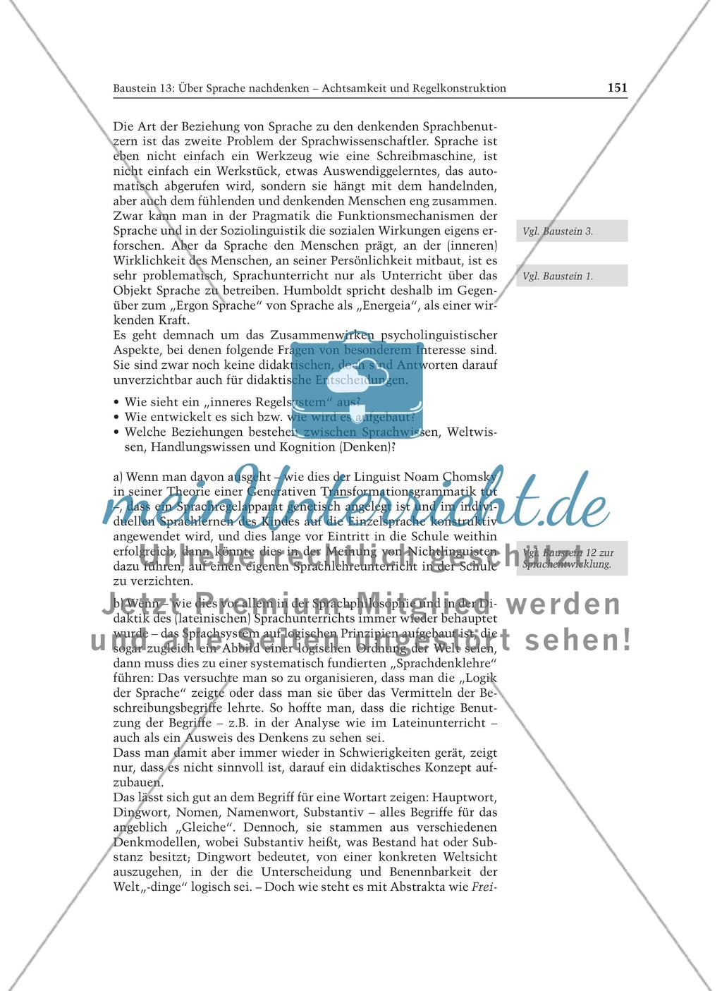 Über Sprache nachdenken - Achtsamkeit und Regelkonstruktion: Informationstext für Lehrer Preview 3