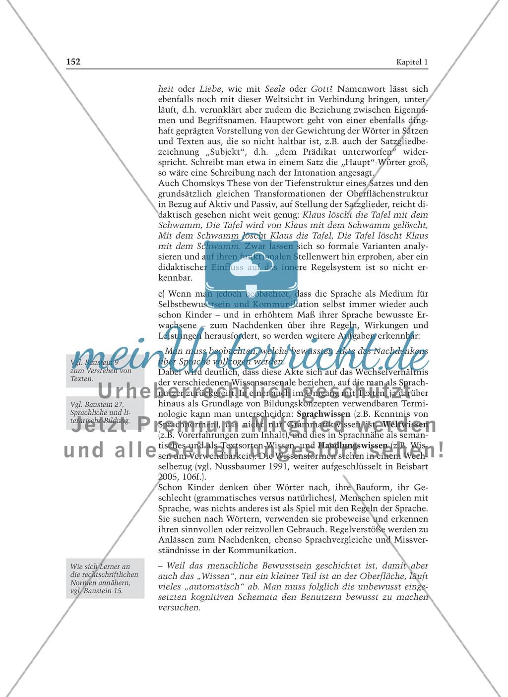 Über Sprache nachdenken - Achtsamkeit und Regelkonstruktion: Informationstext für Lehrer Preview 4