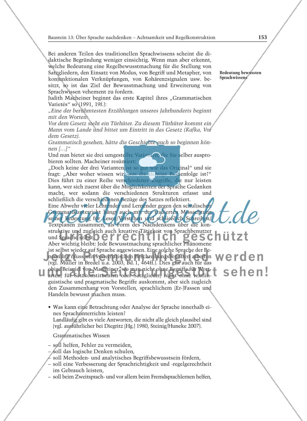 Über Sprache nachdenken - Achtsamkeit und Regelkonstruktion: Informationstext für Lehrer Preview 5