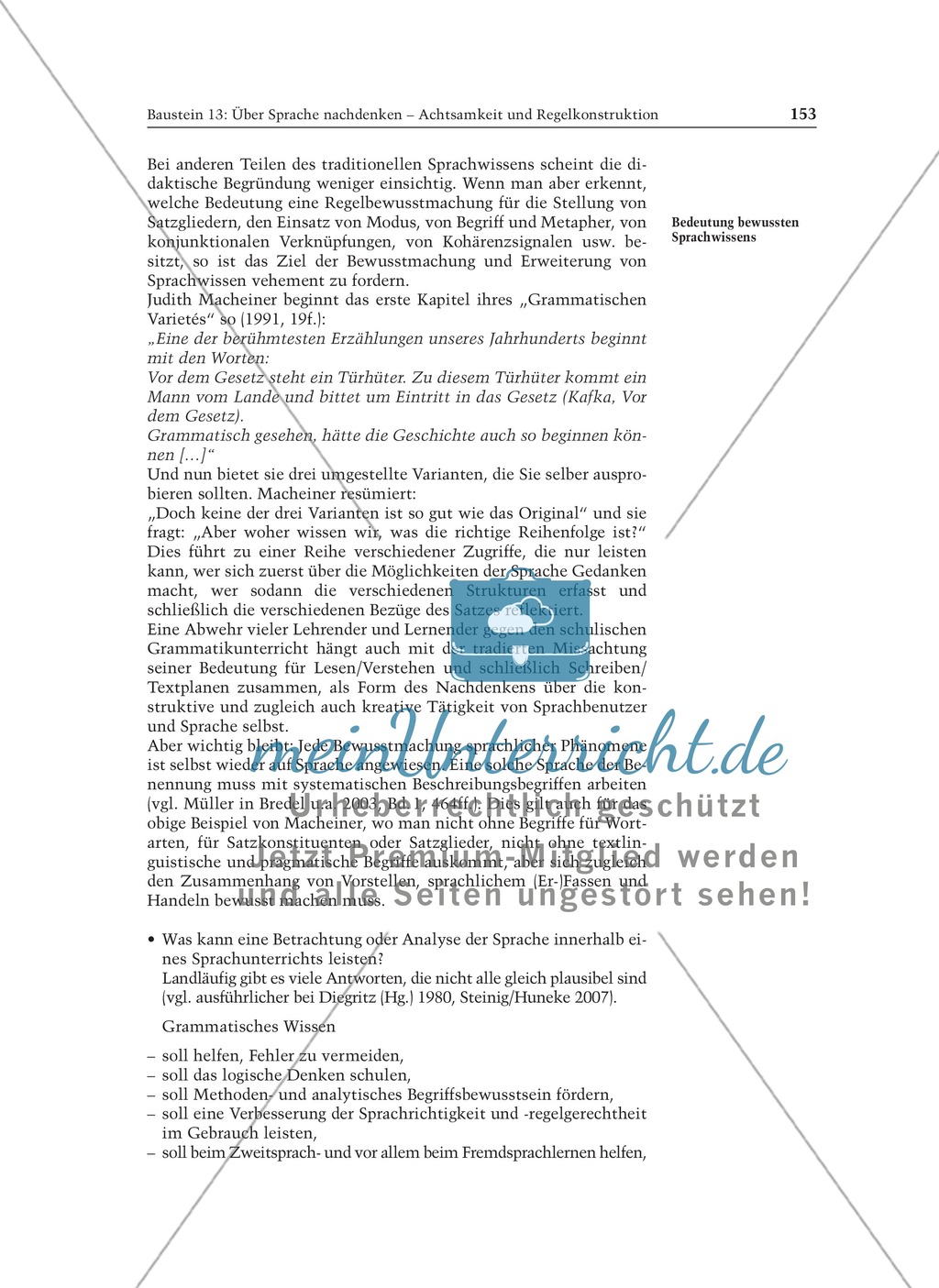 Über Sprache nachdenken - Achtsamkeit und Regelkonstruktion: Informationstext für Lehrer Preview 5