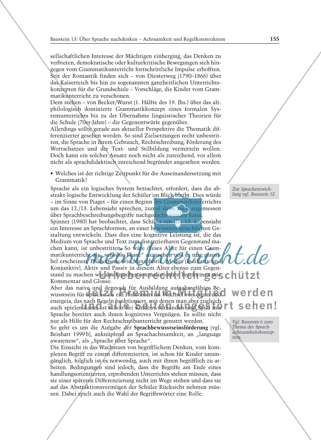 Über Sprache nachdenken - Achtsamkeit und Regelkonstruktion: Informationstext für Lehrer Preview 7