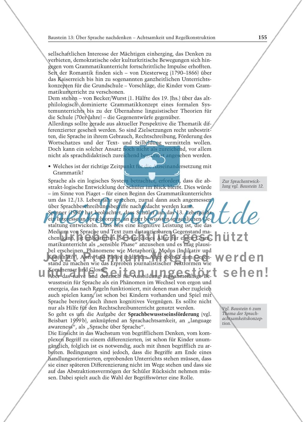 Über Sprache nachdenken - Achtsamkeit und Regelkonstruktion: Informationstext für Lehrer Preview 7