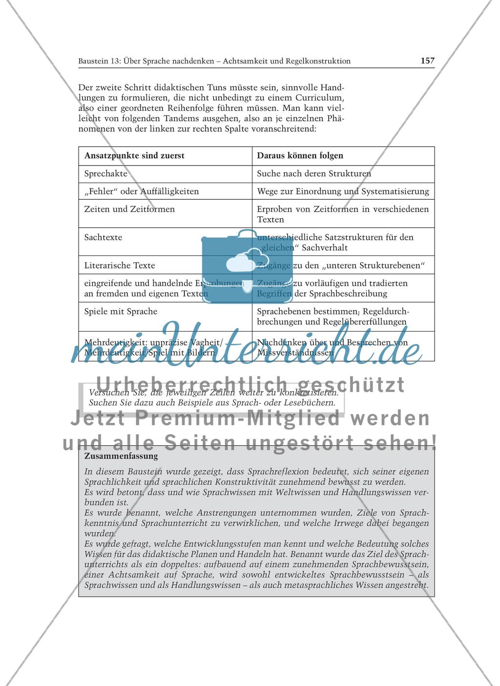 Über Sprache nachdenken - Achtsamkeit und Regelkonstruktion: Informationstext für Lehrer Preview 9