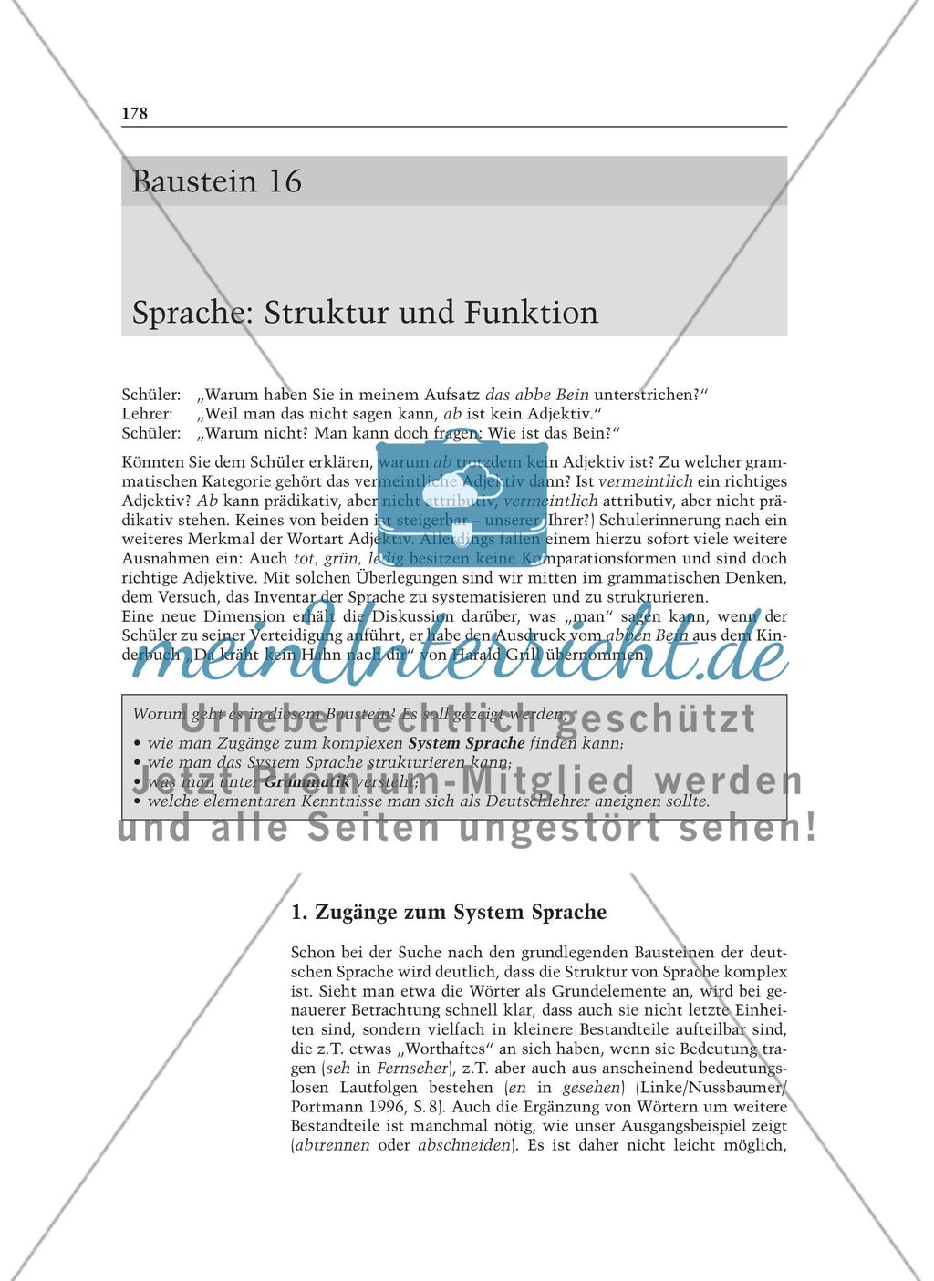 Sprache: Struktur und Funktion: Informationstext für Lehrer Preview 1