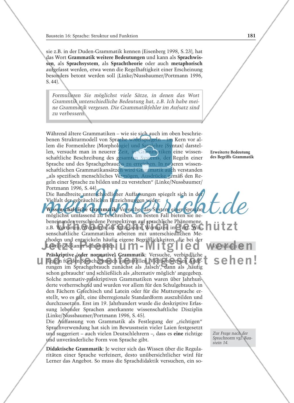 Sprache: Struktur und Funktion: Informationstext für Lehrer Preview 4