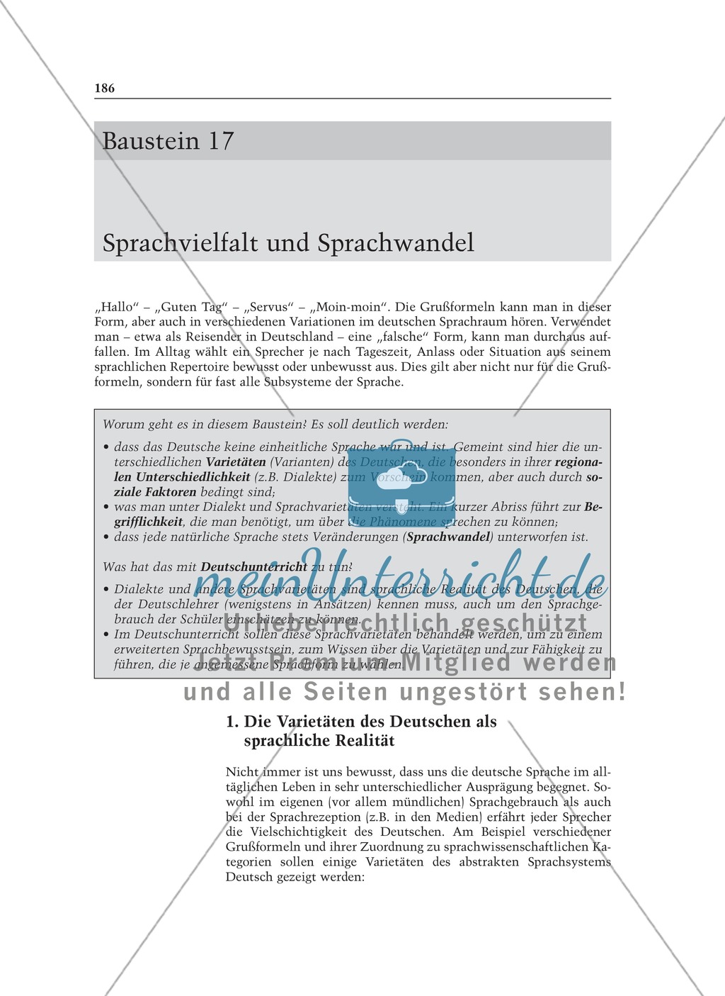 Sprachvielfalt und Sprachwandel: Informationstext für Lehrer Preview 1