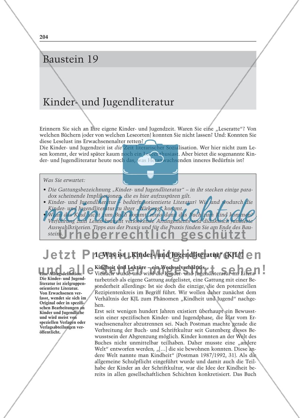 Kinder- und Jugendliteratur: Informationstext für Lehrer Preview 1