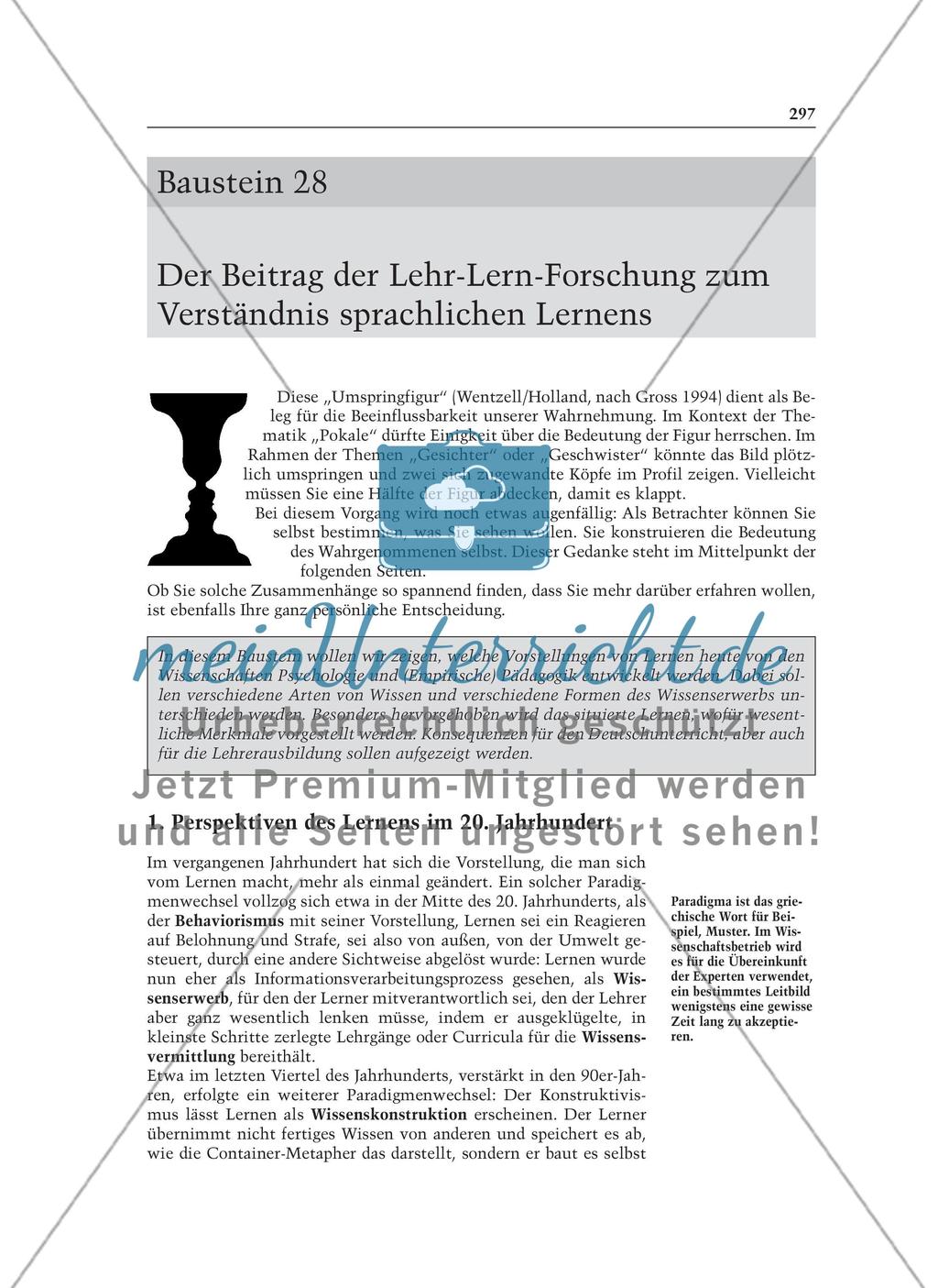 Der Beitrag der Lehr-Lern-Forschung zum Verständnis sprachlichen Lernens: Informationstext für Lehrer Preview 1