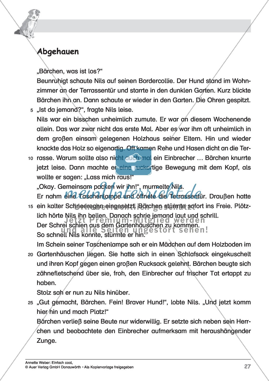 Kurzgeschichte