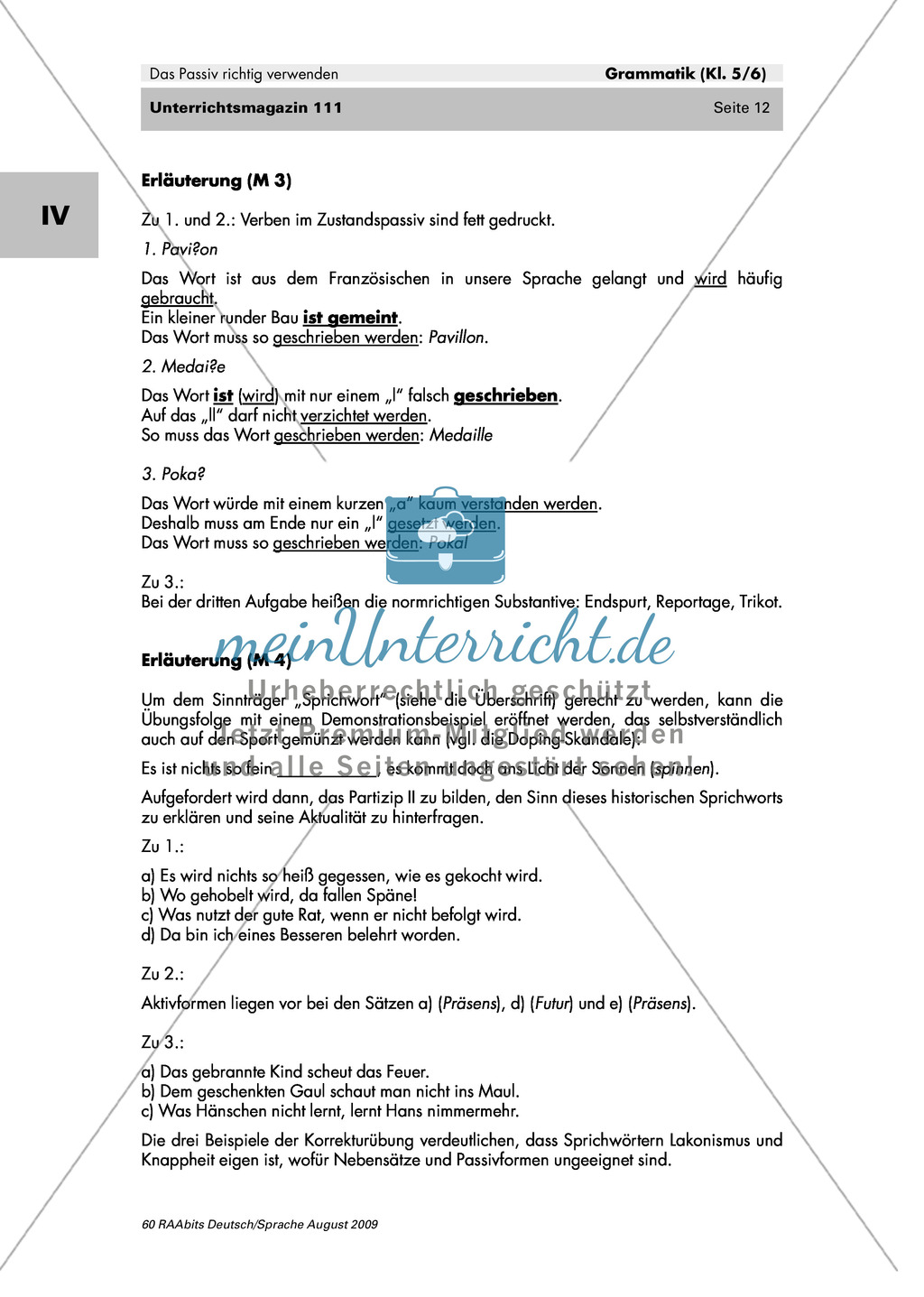 Passiv richtig verwenden - Ein Fußball erzählt + Erläuterung: Material einzeln Preview 5