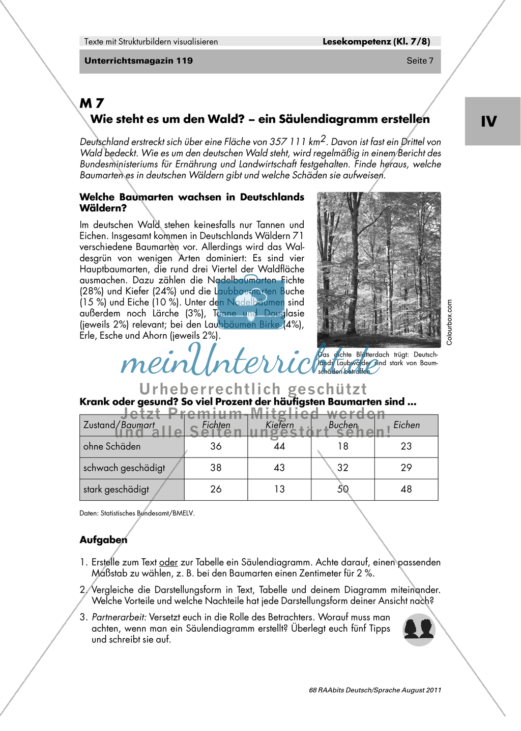 Thema Visualisierung - Balken- und Säulendiagramme verstehen und erstellen Preview 2