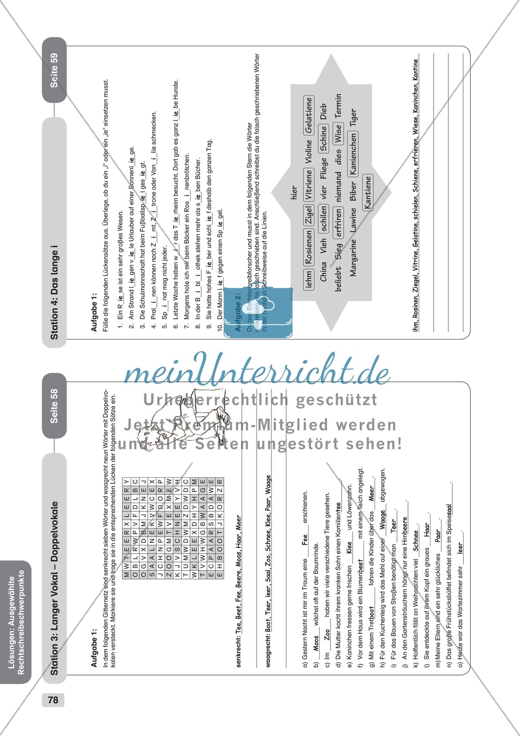 Ausgewählte Rechtschreibschwerpunkte: Übungen + Lösungen Preview 10