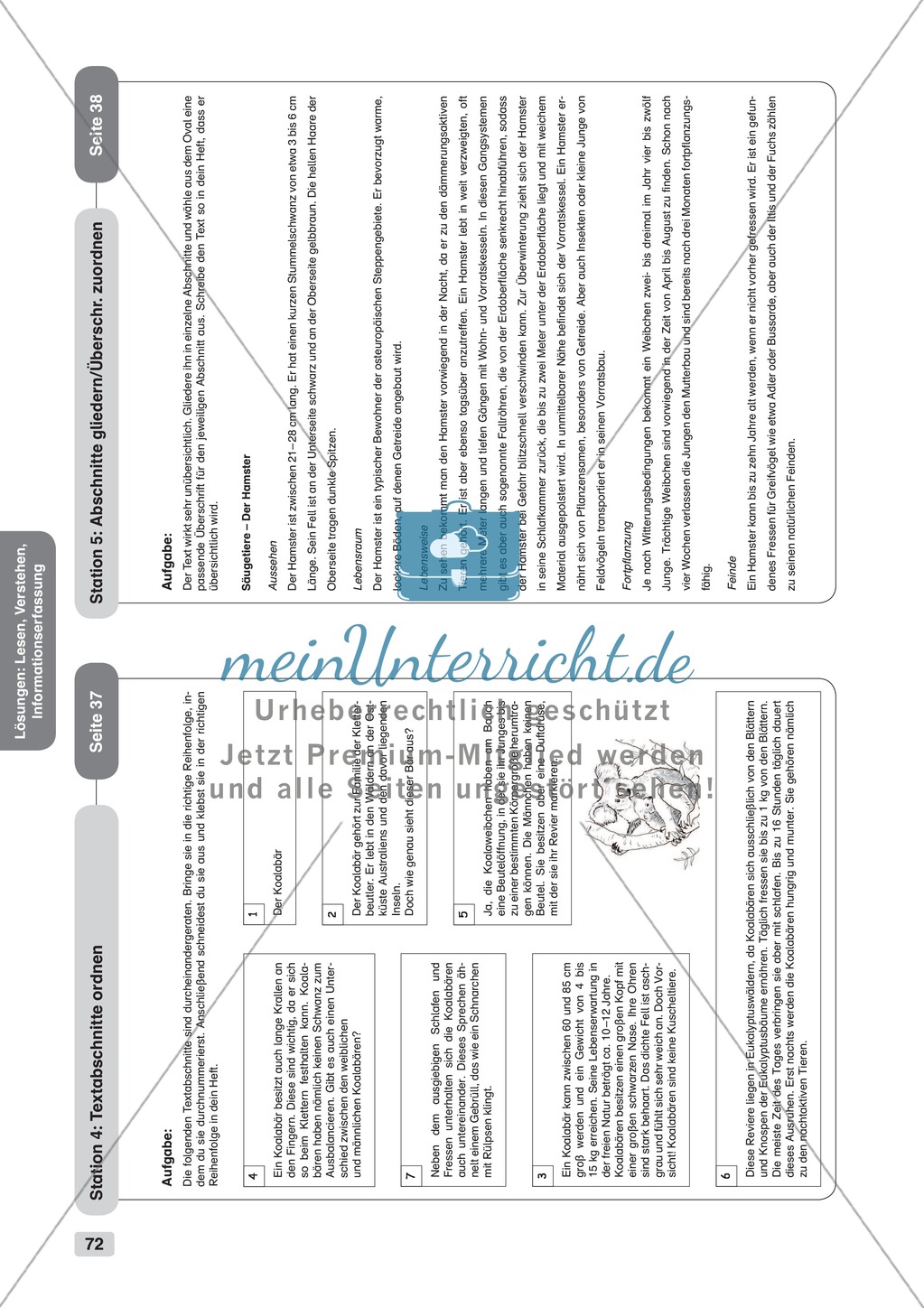 Lesen, Verstehen, Informationserfassung: Übungen + Lösungen Preview 11