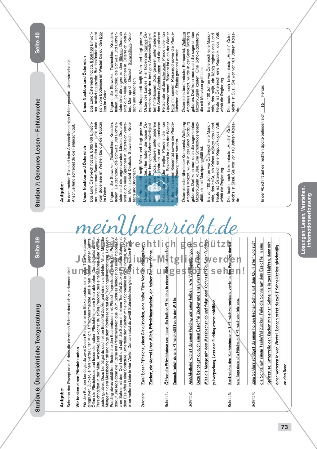 Lesen, Verstehen, Informationserfassung: Übungen + Lösungen Preview 12