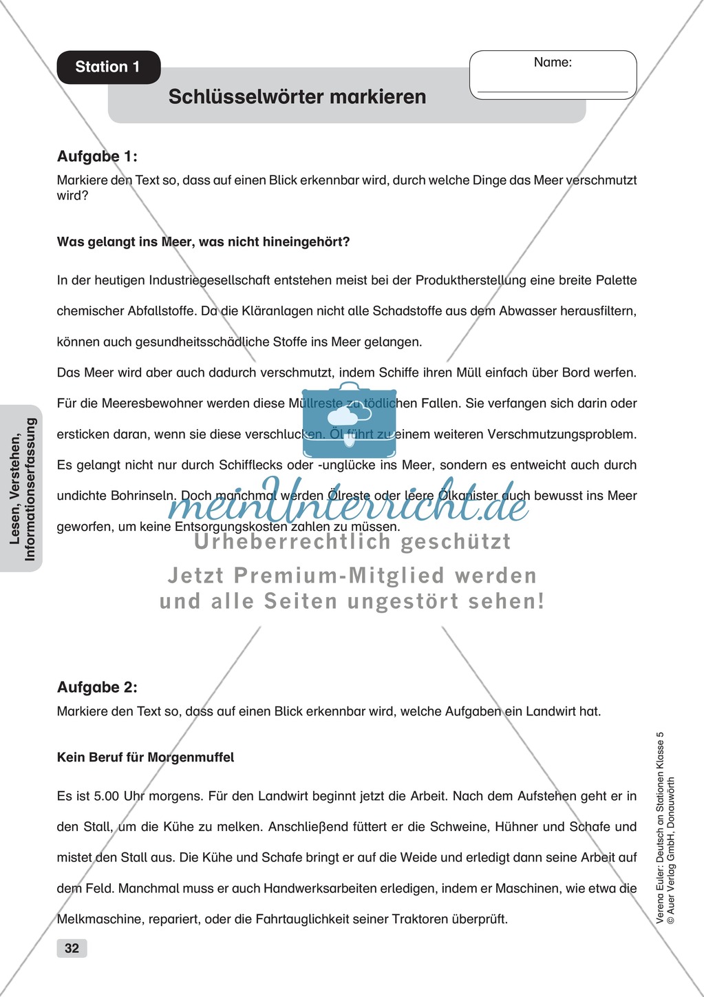 Lesen, Verstehen, Informationserfassung: Übungen + Lösungen Preview 1