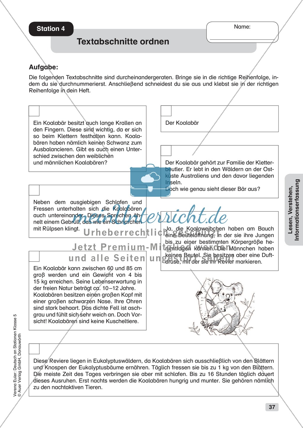 Lesen, Verstehen, Informationserfassung: Übungen + Lösungen Preview 6