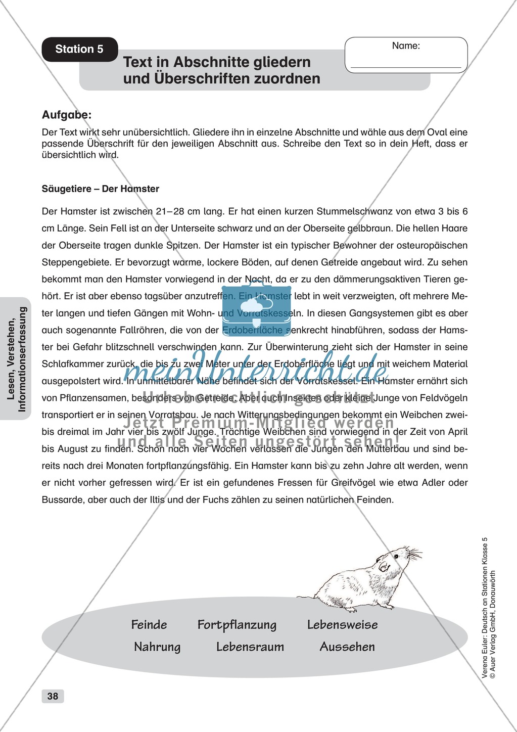 Lesen, Verstehen, Informationserfassung: Übungen + Lösungen Preview 7