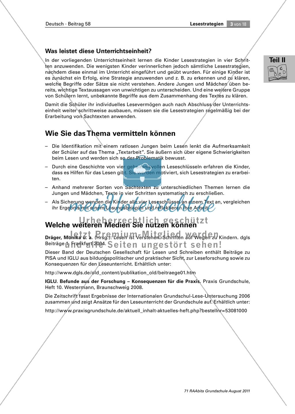 Die vier Schlüssel - Lesestrategien anhand von Sachtexten erarbeiten Preview 3