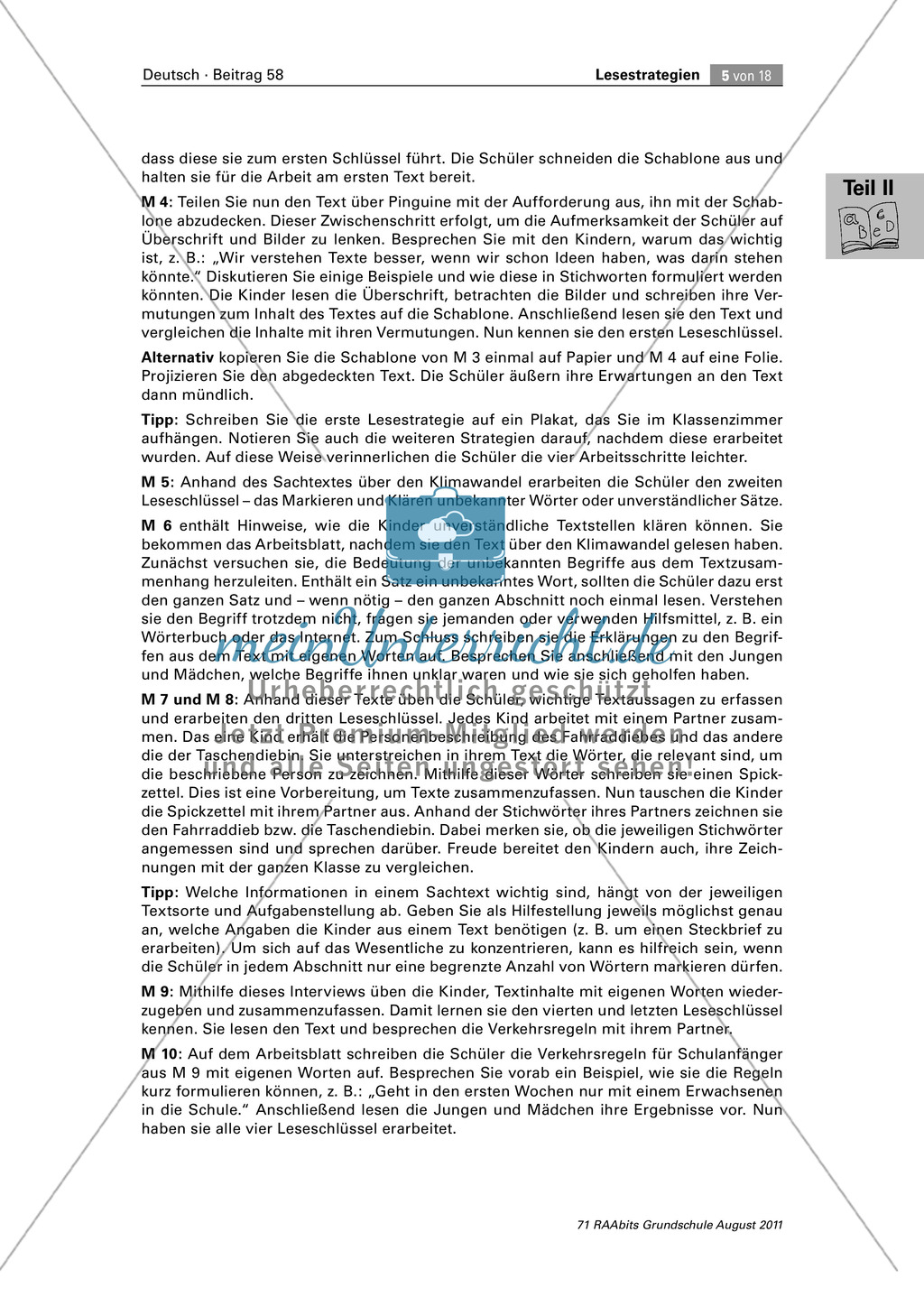 Die vier Schlüssel - Lesestrategien anhand von Sachtexten erarbeiten Preview 5