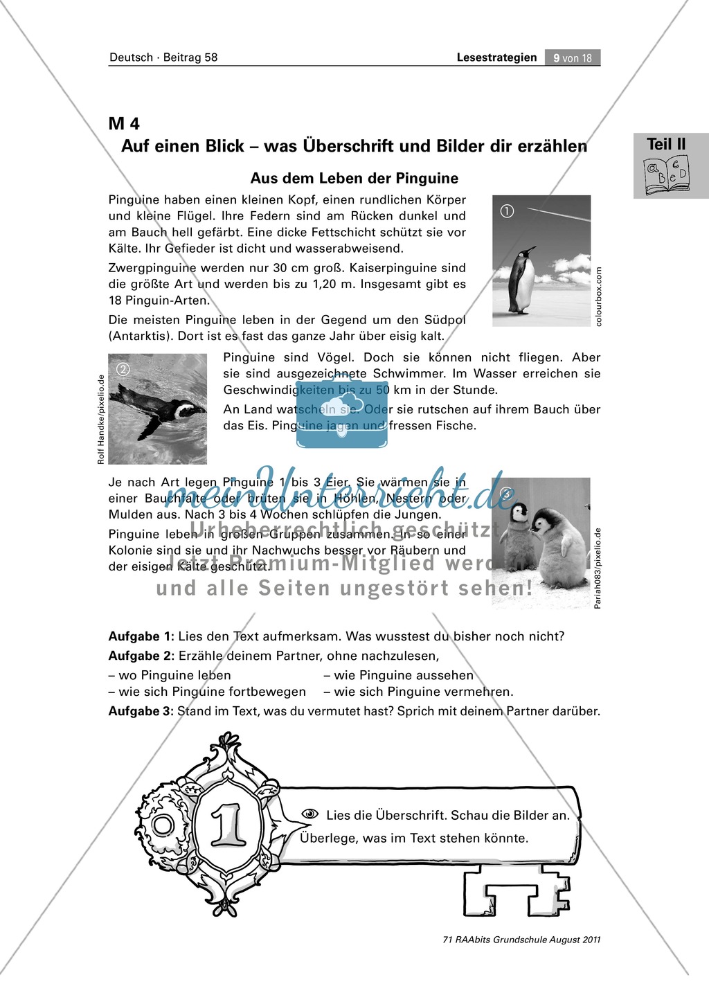 Die vier Schlüssel - Lesestrategien anhand von Sachtexten erarbeiten Preview 9