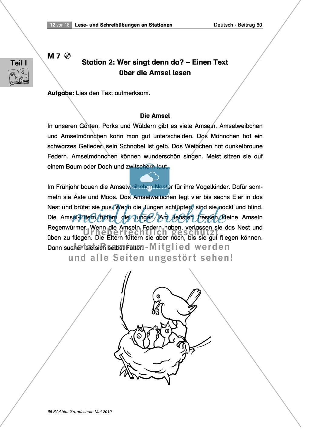 Stationenarbeit an einem Gedicht, einem Text und Bildern zum Thema "Frühling" Preview 3