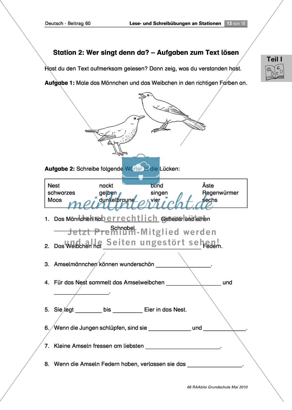 Stationenarbeit an einem Gedicht, einem Text und Bildern zum Thema "Frühling" Preview 4