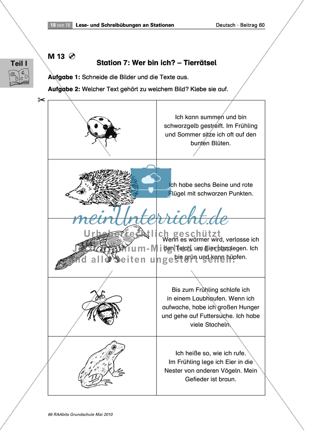 Stationenarbeit an einem Gedicht, einem Text und Bildern zum Thema "Frühling" Preview 9