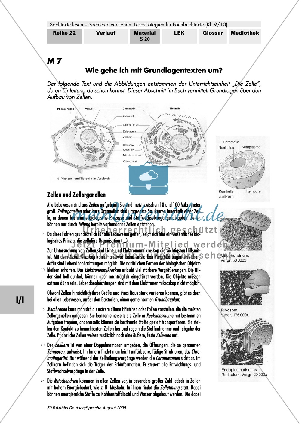 Unterschiedliche Aufgaben von Sachtexten erkennen - beispielhafte Bearbeitung eines Biologietextes Preview 4