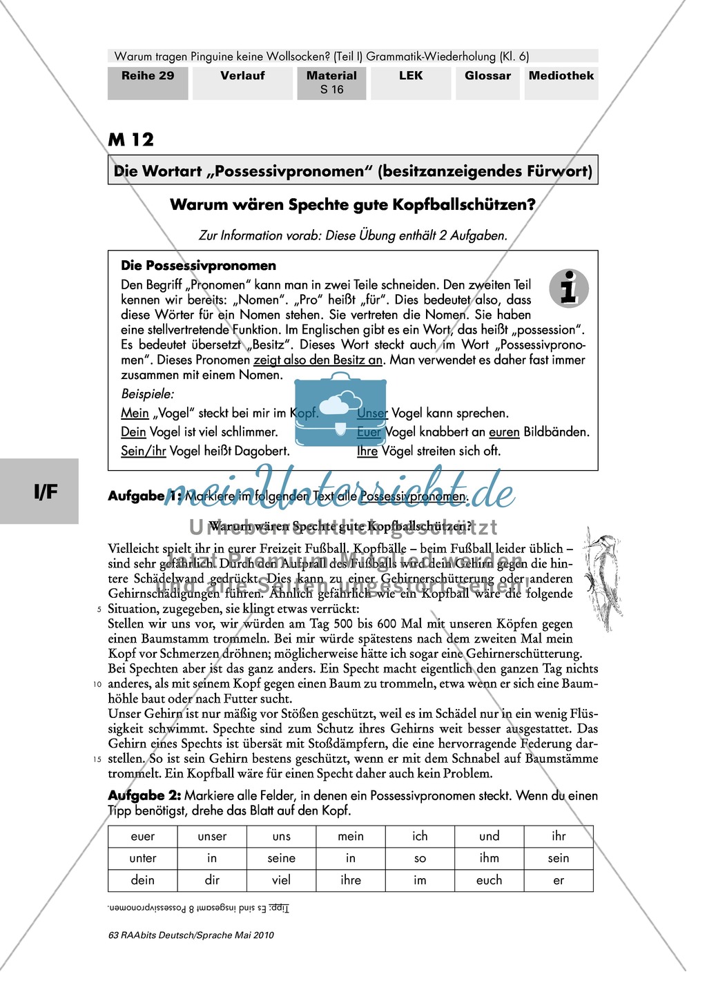 Warum tragen Pinguine keine Wollsocken? Eine individuelle Grammatik-Wiederholung zu den Wortarten Preview 22