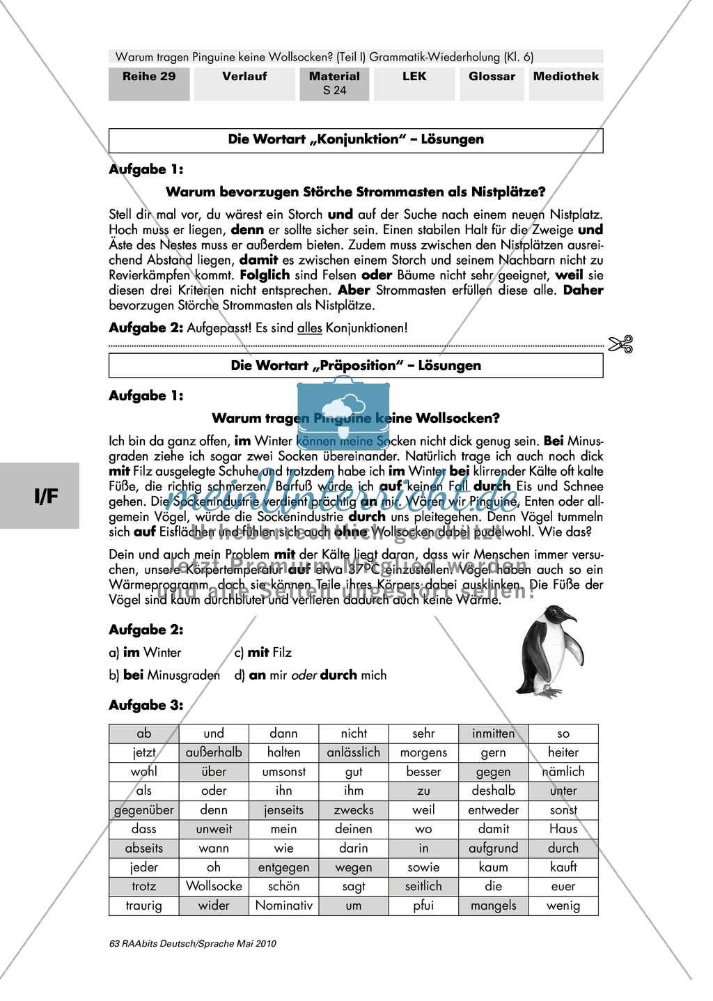 Warum tragen Pinguine keine Wollsocken? Eine individuelle Grammatik-Wiederholung zu den Wortarten Preview 30
