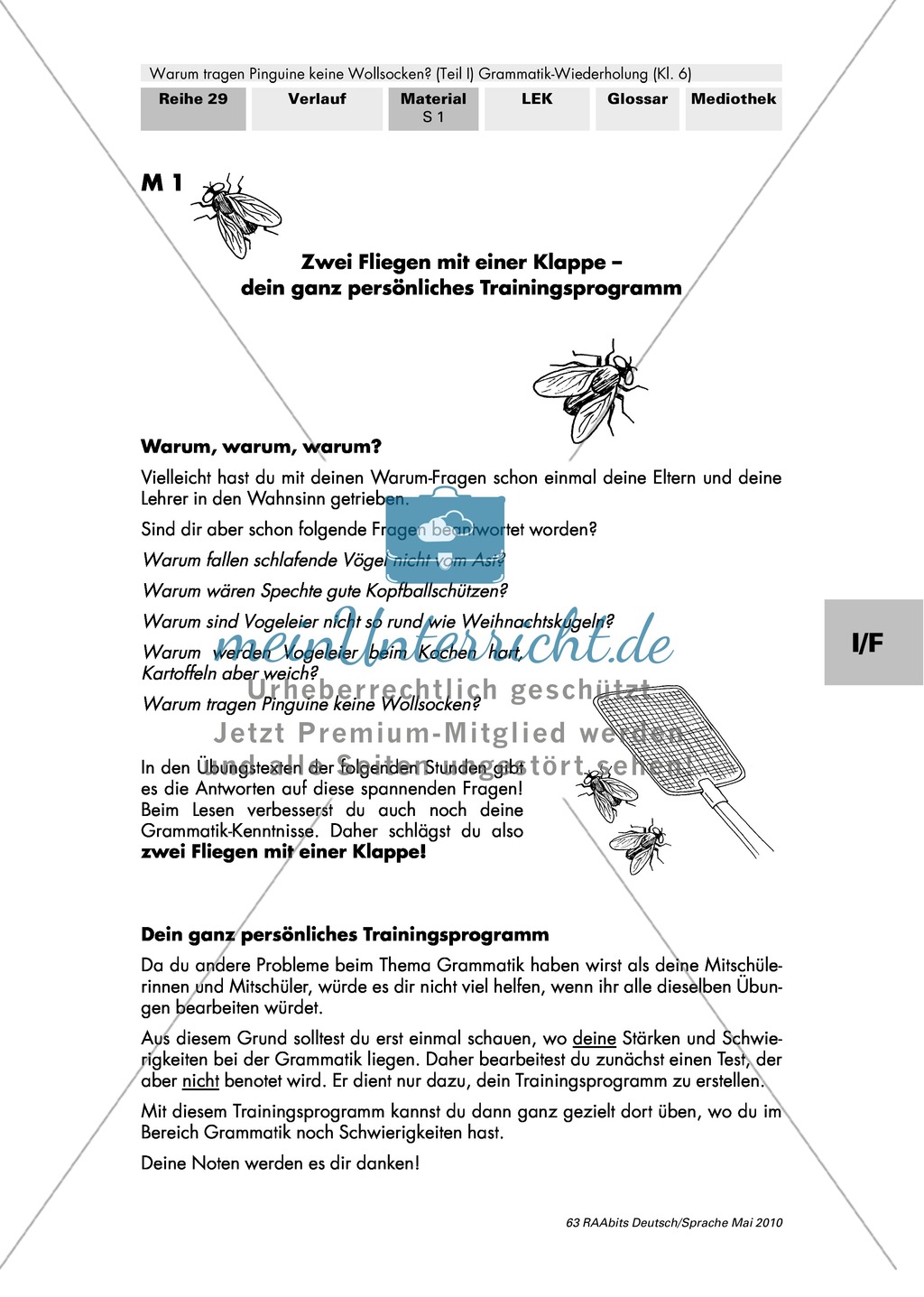 Warum tragen Pinguine keine Wollsocken? Eine individuelle Grammatik-Wiederholung zu den Wortarten Preview 7