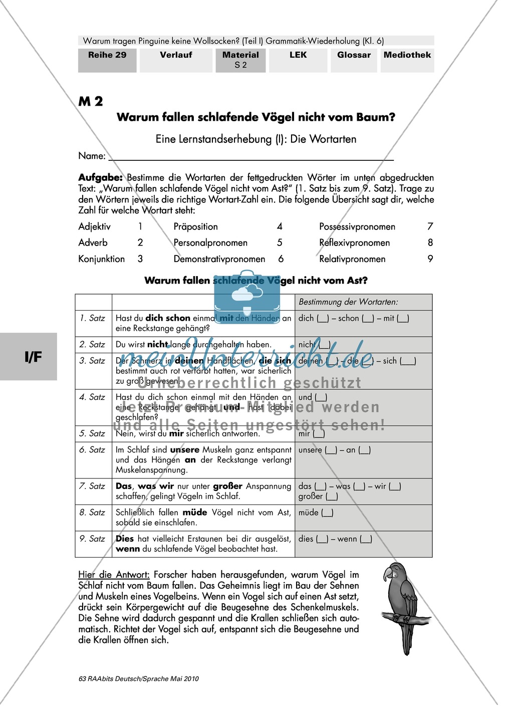 Warum tragen Pinguine keine Wollsocken? Eine individuelle Grammatik-Wiederholung zu den Wortarten Preview 8