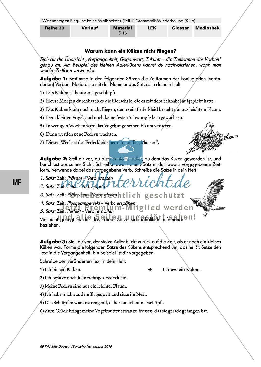 Warum tragen Pinguine keine Wollsocken? Eine individuelle Grammatik-Wiederholung zu Satzgliedern und Tempora Preview 22