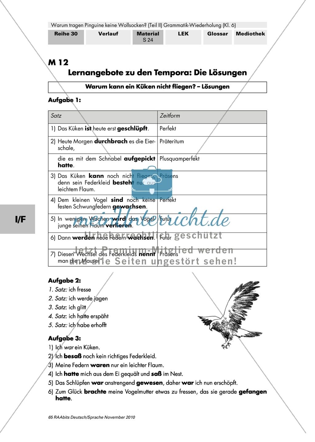 Warum tragen Pinguine keine Wollsocken? Eine individuelle Grammatik-Wiederholung zu Satzgliedern und Tempora Preview 30