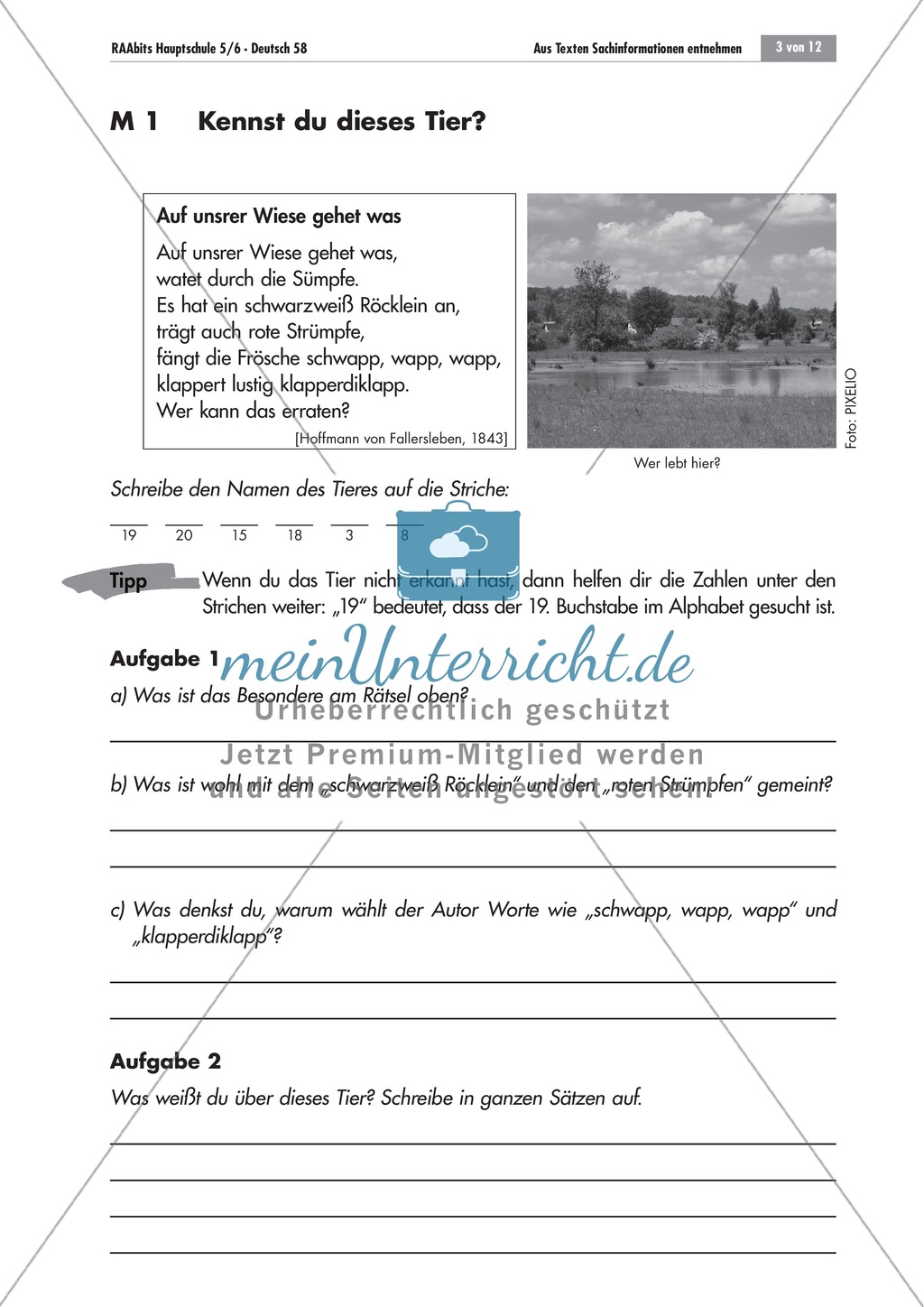 Aus Texten Sachinformationen entnehmen - Aufgaben zum Storchengedicht