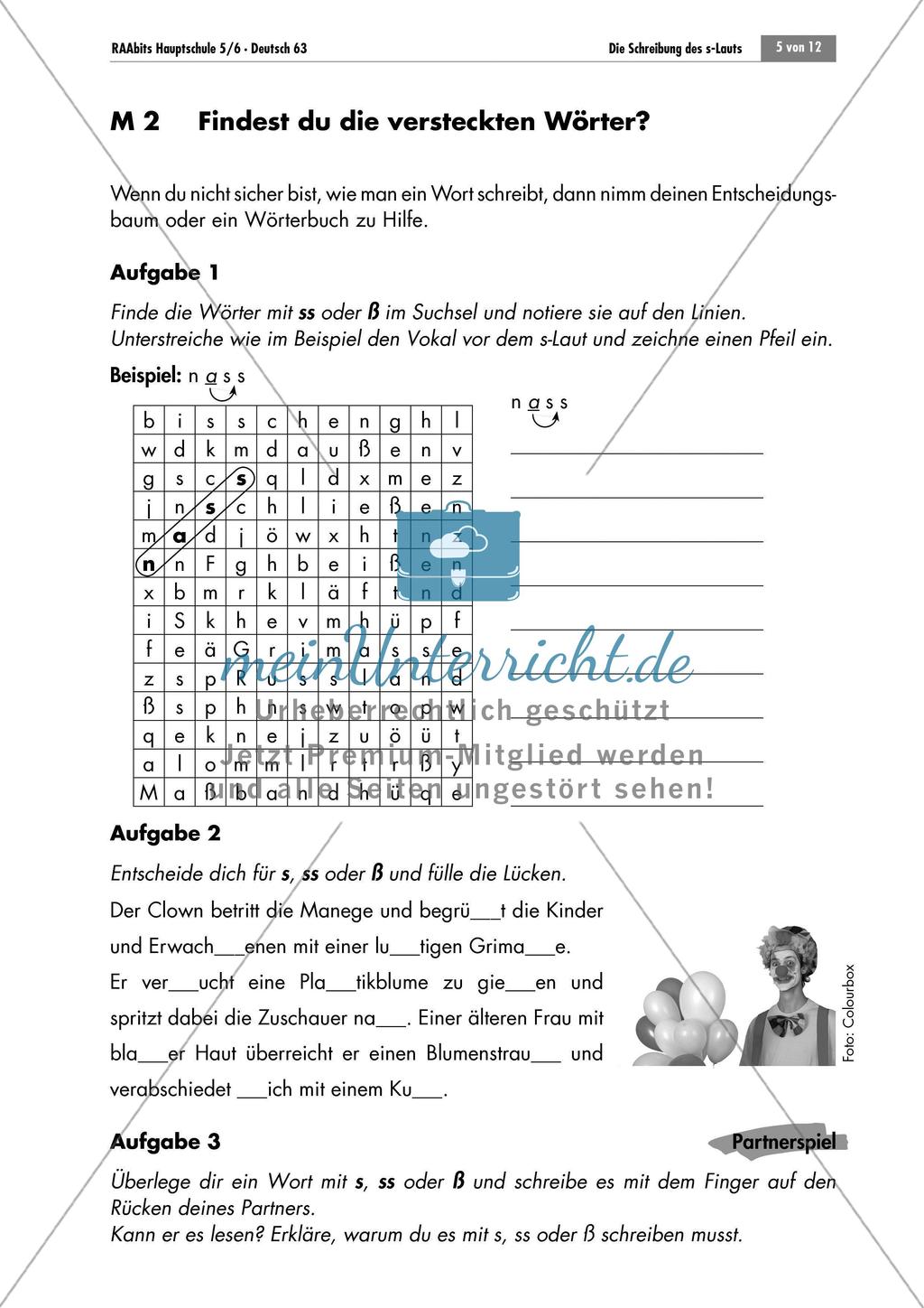 Die Schreibung des s-Lauts: Einen Entscheidungsbaum vervollständigen + Anwendung der Regeln im Suchrätsel und Lückentext Preview 3