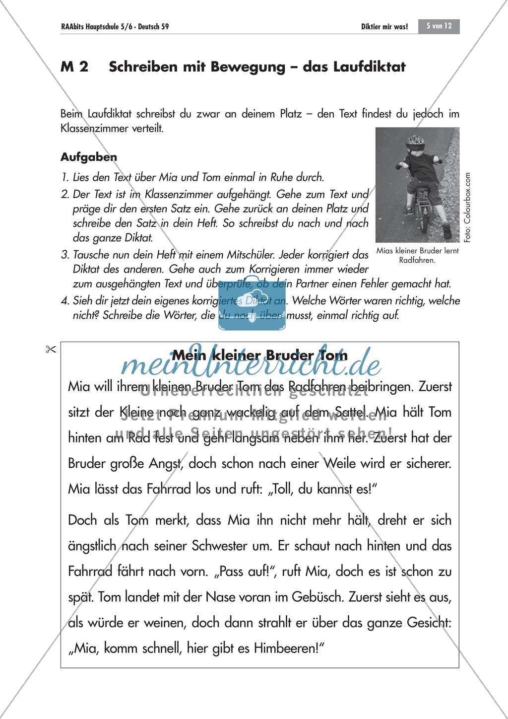 Übungen und Strategien zum korrekten Schreiben Preview 5
