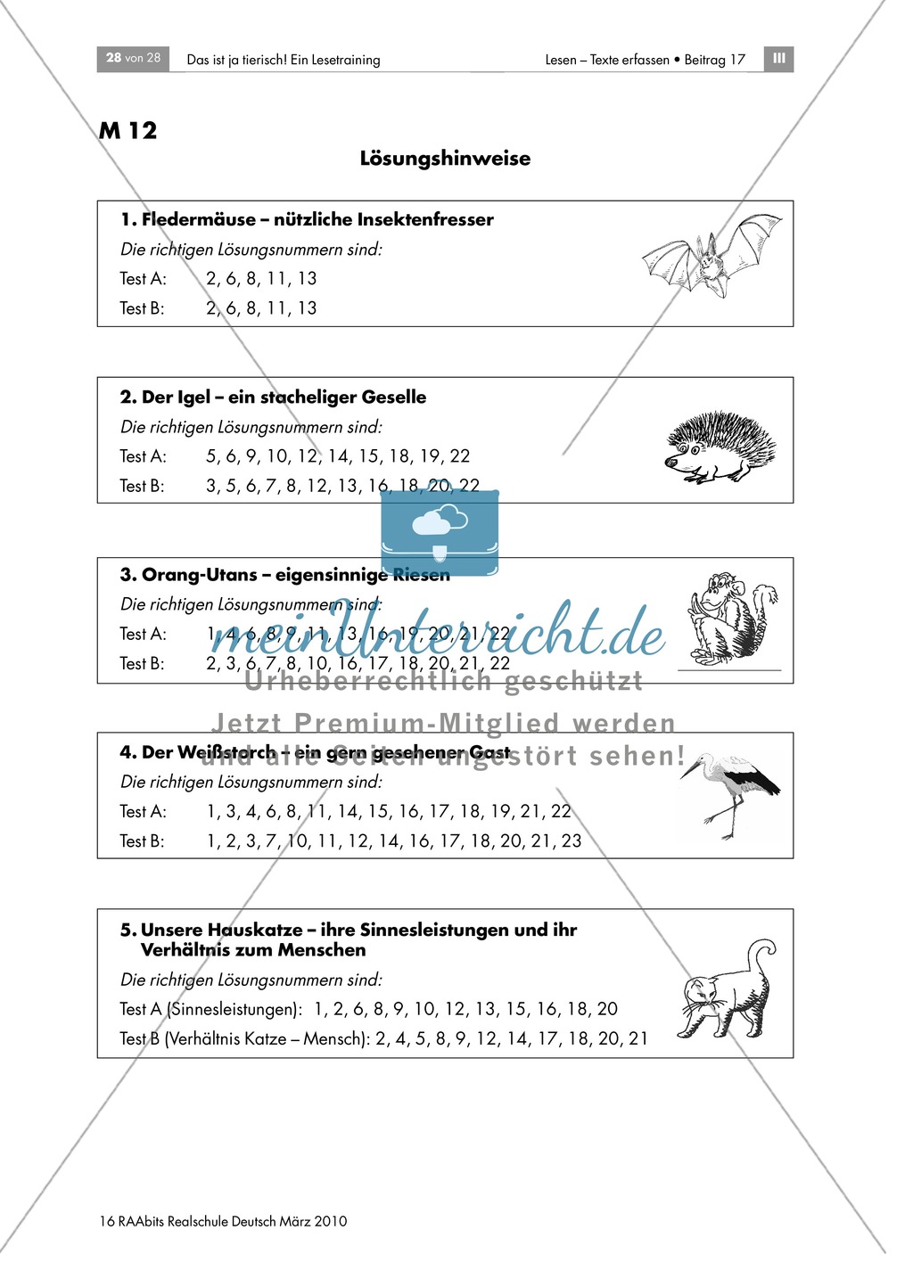 Leseübungen anhand von Sachtexten über Tiere: Thema Orang-Utans Preview 6