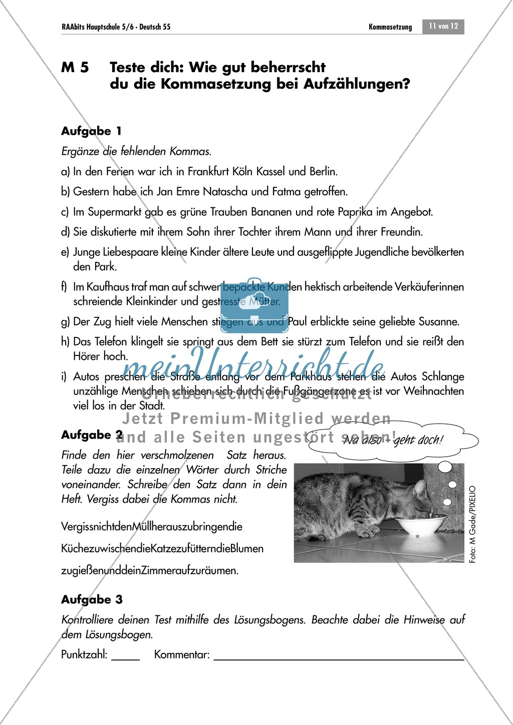 Lernzirkel zur Kommasetzung bei Aufzählungen Preview 11