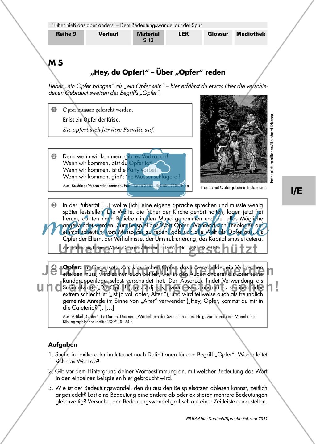 Erscheinungsformen des Bedeutungswandels in der Gegenwart - meinUnterricht