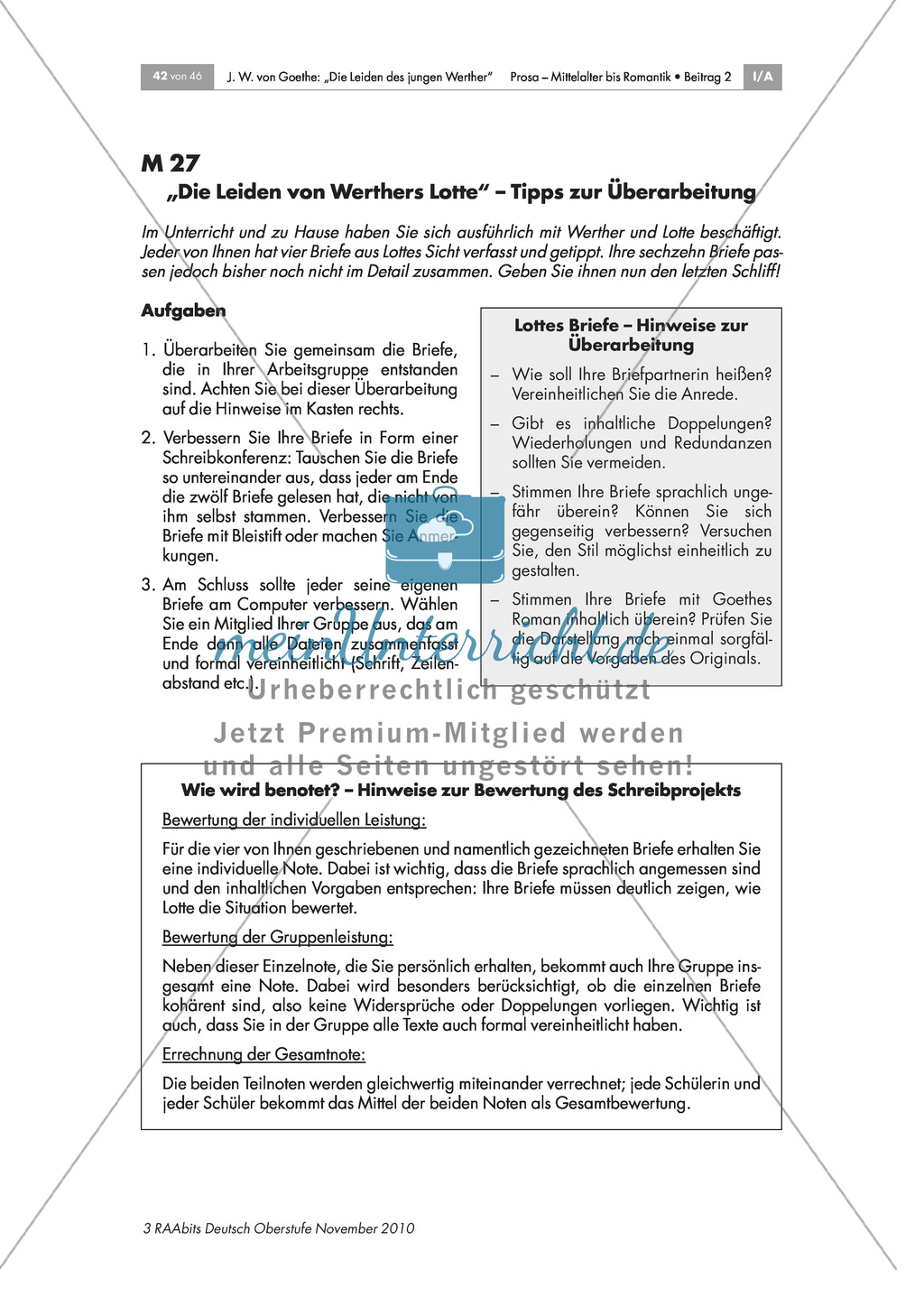 Abschluss des Romanprojekts - Überarbeitung und Zusammenführung der Briefe Preview 1