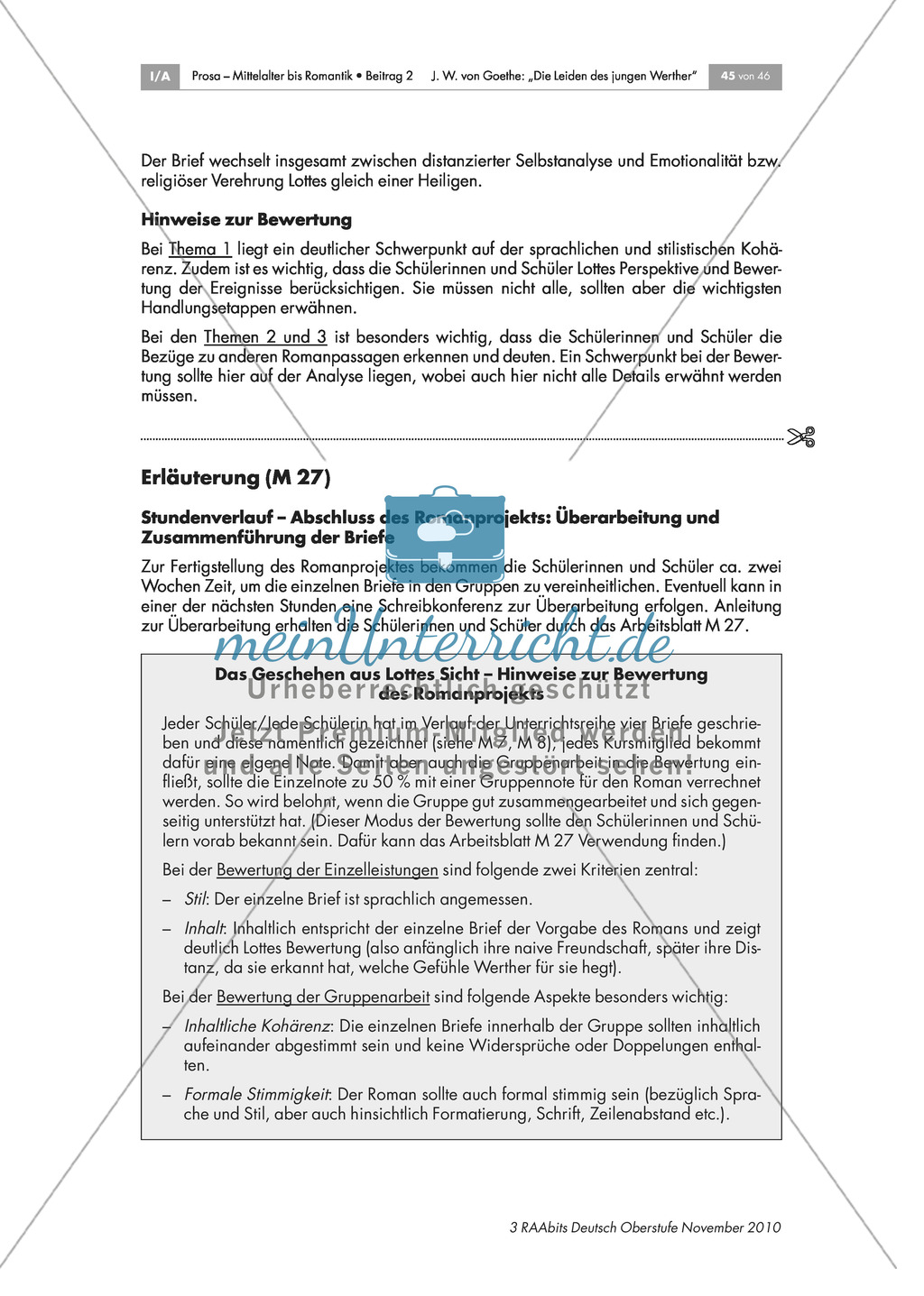 Abschluss des Romanprojekts - Überarbeitung und Zusammenführung der Briefe Preview 2