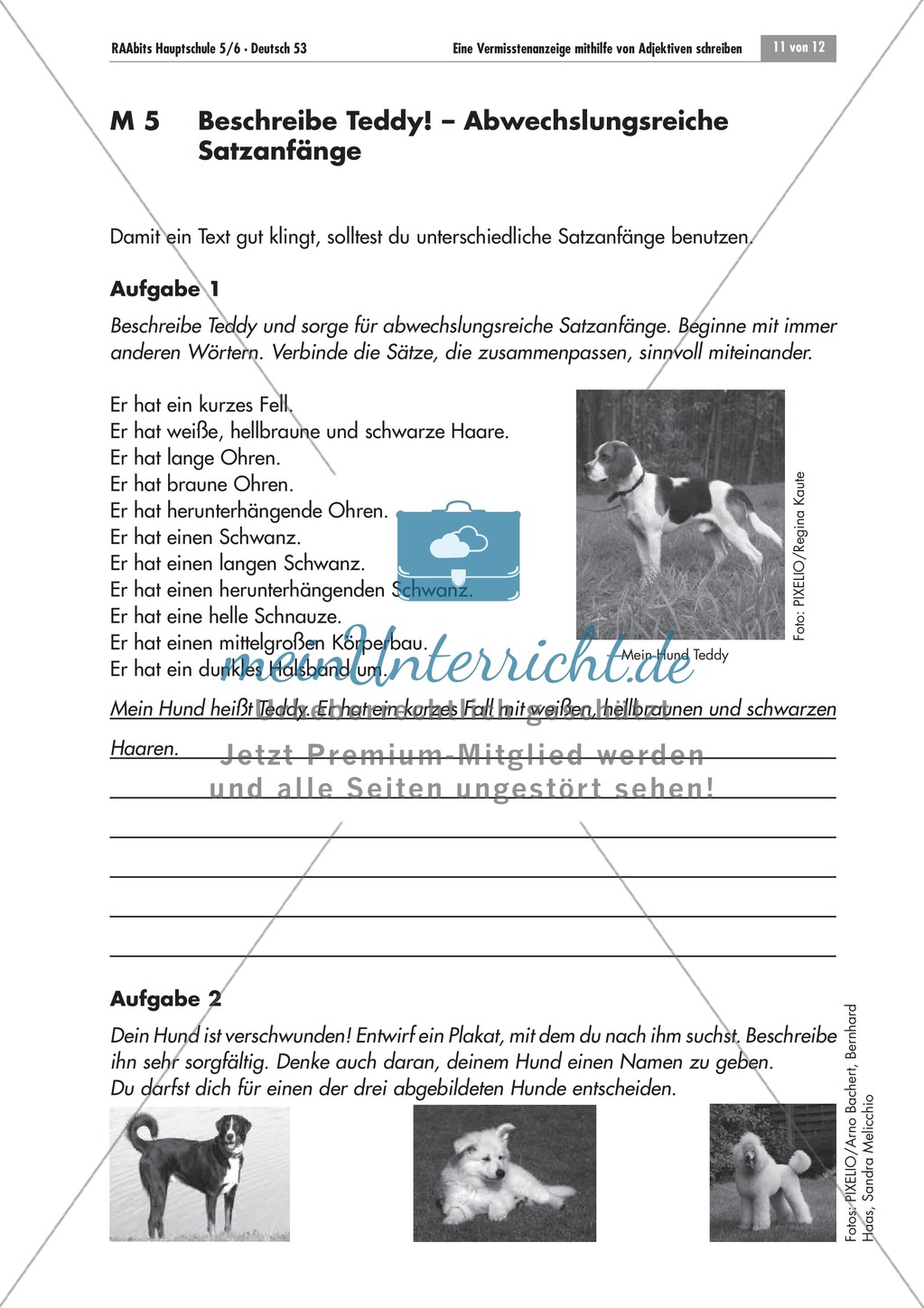 Text abwechslungsreicher umformulieren Preview 1