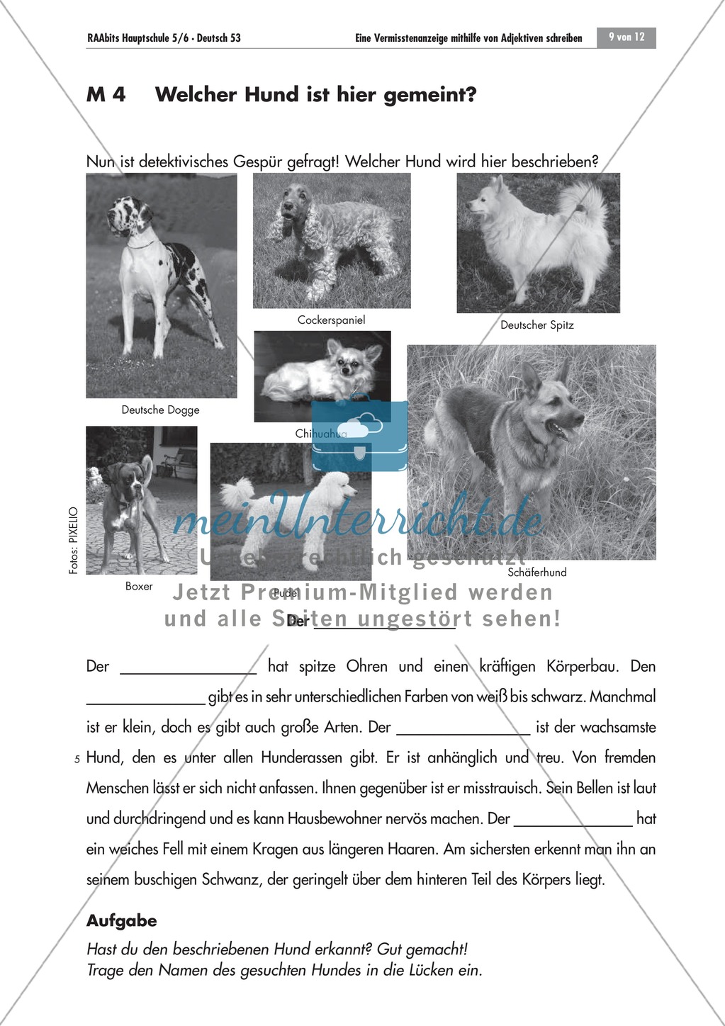 Tierbeschreibungen lesen und Bildern zuordnen + Vermisstenanzeige schreiben Preview 1