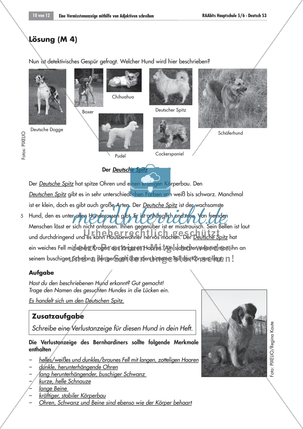 Tierbeschreibungen lesen und Bildern zuordnen + Vermisstenanzeige schreiben Preview 2